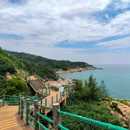 惠东港口海龟国家级自然保护区 - 其他旅游 缩略图 2
