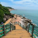 惠东港口海龟国家级自然保护区 - 其他旅游 缩略图 1