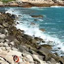惠东港口海龟国家级自然保护区 - 其他旅游 缩略图 3