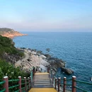惠东港口海龟国家级自然保护区 - 其他旅游 缩略图 7