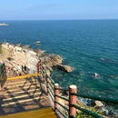 惠东港口海龟国家级自然保护区 - 其他旅游 缩略图 8