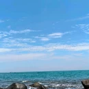惠东港口海龟国家级自然保护区 - 其他旅游 缩略图 9