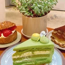 Tomado绿色烘焙(大尧三路店) - 青岛市旅游 缩略图 1