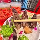 西双版纳傣族园 - 西双版纳傣族自治州旅游 缩略图 4