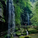碧峰峡景区 - 雅安市旅游 缩略图 1