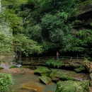 碧峰峡景区 - 雅安市旅游 缩略图 3