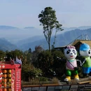 碧峰峡景区 - 雅安市旅游 缩略图 6