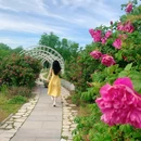 烟台植物园 - 烟台市旅游 缩略图 1