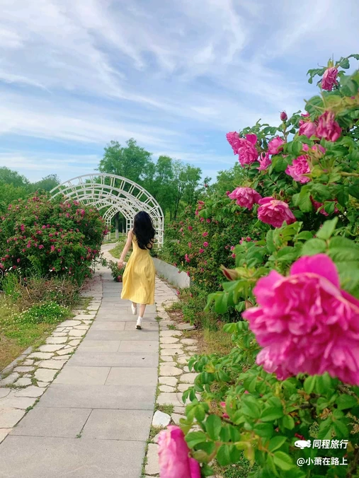 烟台植物园 - 烟台市旅游