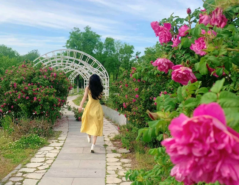 烟台植物园 - 烟台市旅游 1