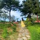 烟台植物园 - 烟台市旅游 缩略图 4