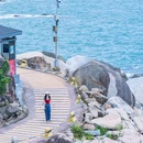 广东惠东海龟国家级自然保护区游客中心 - 惠州市旅游 缩略图 1