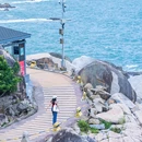 广东惠东海龟国家级自然保护区游客中心 - 惠州市旅游 缩略图 4