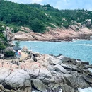 广东惠东海龟国家级自然保护区游客中心 - 惠州市旅游 缩略图 9