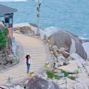 广东惠东海龟国家级自然保护区游客中心 - 惠州市旅游 缩略图 6