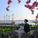 海丝首港景区 - 北海市旅游 缩略图 2