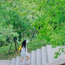 龟山风景区 - 武汉市旅游 缩略图 8