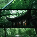 柳浪闻莺 - 杭州市旅游 缩略图 7