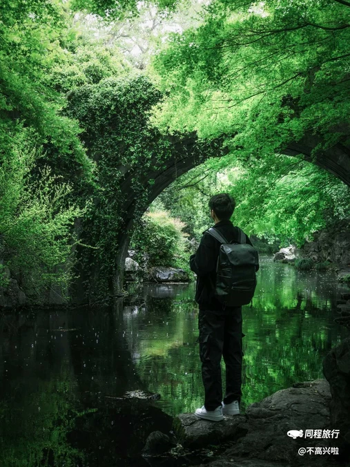柳浪闻莺 - 杭州市旅游