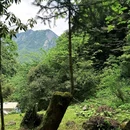 丁木沟大峡谷 - 成都市旅游 缩略图 7