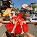 上海市开封商会 - 上海市旅游 缩略图 2