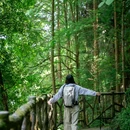 什邡红峡谷 - 德阳市旅游 缩略图 7
