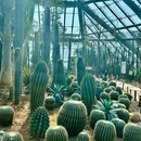 惠州市植物园 - 惠州旅游 缩略图 7