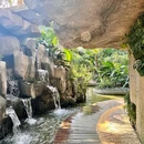 惠州市植物园 - 惠州旅游 缩略图 2