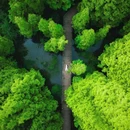 桤木河湿地公园 - 成都市旅游 缩略图 3