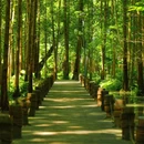 桤木河湿地公园 - 成都市旅游 缩略图 6