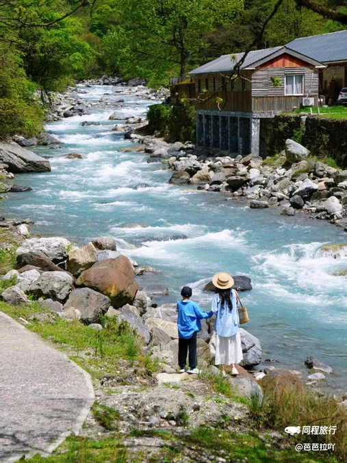 喇叭河风景区 - 雅安市旅游