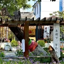 呼吸森林(阳澄湖店) - 苏州市旅游 缩略图 4
