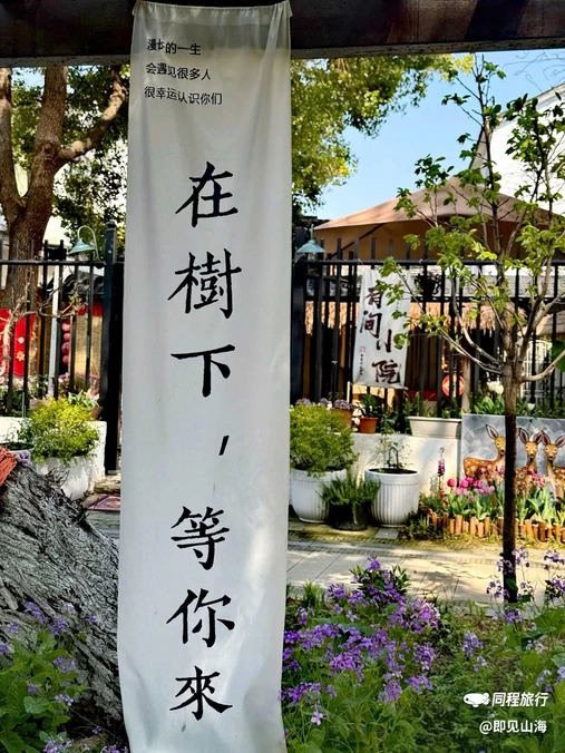 呼吸森林(阳澄湖店) - 苏州市旅游