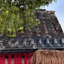 呼吸森林(阳澄湖店) - 苏州市旅游 缩略图 7