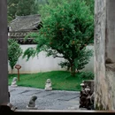 走马楼 - 黄山旅游 缩略图 8