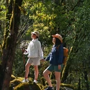灵山寺景区 - 凉山彝族自治州旅游 缩略图 2