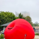 辰熙ACX星海艺术中心 - 大连市旅游 缩略图 5