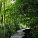 马岭古道 - 杭州市旅游 缩略图 7