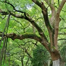 吴山景区-城隍阁 - 杭州市旅游 缩略图 5