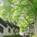 吴山景区-城隍阁 - 杭州市旅游 缩略图 3