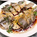 朴鲜·渔家小院·海肠捞饭(栈桥店) - 青岛市旅游 缩略图 3