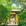 杭州市·永福禅寺