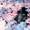 永福禅寺 - 杭州市旅游 缩略图 3