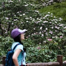 眉山瓦屋山国家森林公园 - 眉山市旅游 缩略图 3