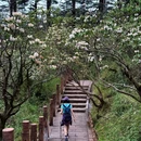 眉山瓦屋山国家森林公园 - 眉山市旅游 缩略图 4