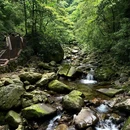 眉山瓦屋山国家森林公园 - 眉山市旅游 缩略图 7