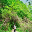 千佛山森林公园 - 保定市旅游 缩略图 3