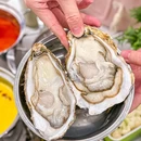 朱福来食品厂 - 石家庄市旅游 缩略图 5