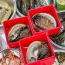 朱福来食品厂 - 石家庄市旅游 缩略图 7