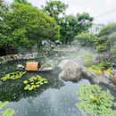麓溪小院·森系花园餐厅(梅溪湖店) - 长沙市旅游 缩略图 5